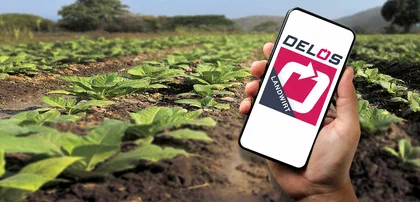 Offline-App für Felddokumentation zur Erntesaison